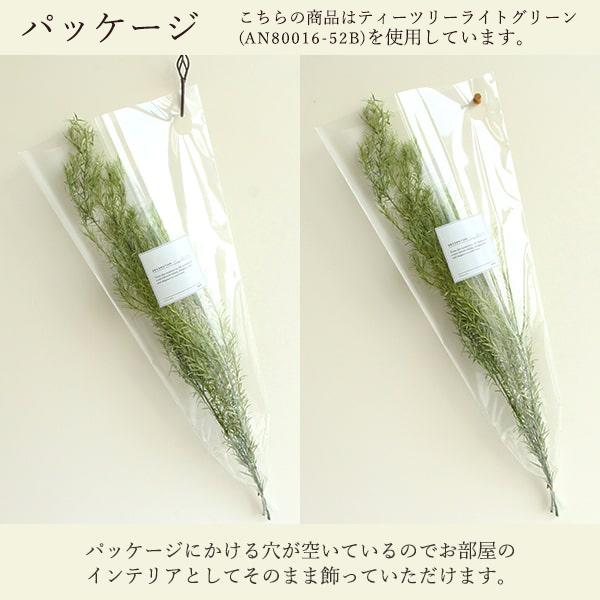 アスカ商会 ドライフラワー 花材 即日出荷 特価 エリンジウム オレンジ