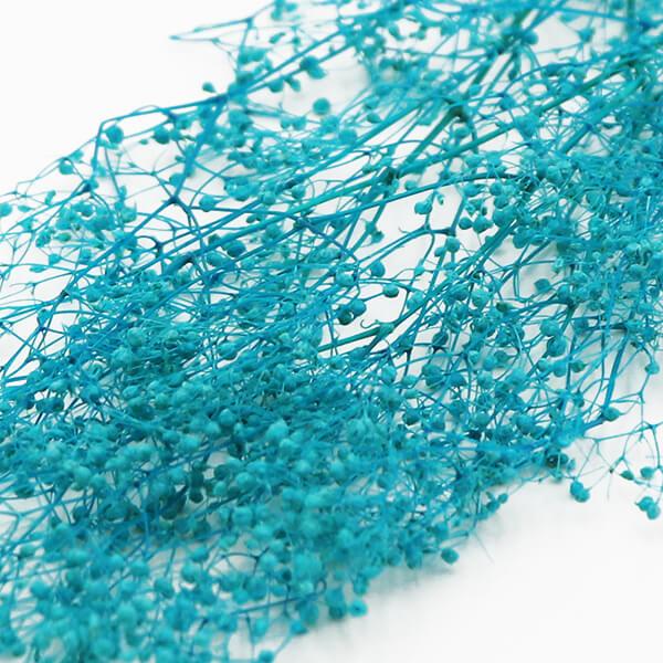 ドライフラワー 花材 即日出荷 ミニカスミ ブルー かすみ カスミ かすみ草 カスミ草 ドライフラワー スワッグ ブーケ 花束 リース アスカ ASCA アスカ商会 | アスカ商会 | 01