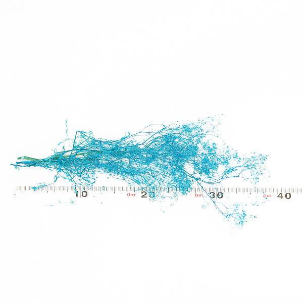 ドライフラワー 花材 即日出荷 ミニカスミ ブルー かすみ カスミ かすみ草 カスミ草 ドライフラワー スワッグ ブーケ 花束 リース アスカ ASCA アスカ商会 | アスカ商会 | 02