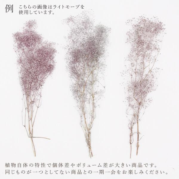 ドライフラワー 花材 即日出荷 ミニカスミ ブルー かすみ カスミ かすみ草 カスミ草 ドライフラワー スワッグ ブーケ 花束 リース アスカ ASCA アスカ商会 | アスカ商会 | 03