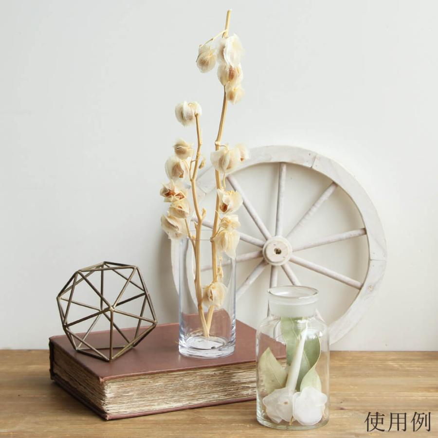 アスカ商会 【P5倍中 12/16 09:59迄】 ドライフラワー 花材 即日出荷