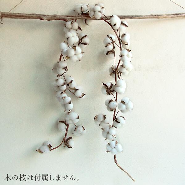 ドライフラワー 花材 クリスマス リース 即日出荷 ガーランドコットン ナチュラル インテリア 綿 綿花 わた ワタ コットン ガーランド クリスマス 正月（Yahoo!・造花ドライフラワー専門問屋花びし）