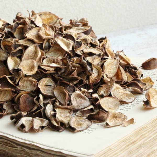 ドライフラワー 花材 即日出荷 RMコットンペタル 木の実 ナチュラル