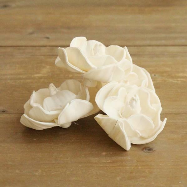 ハンドメイドフラワー 花材 即日出荷 Rmソラマグノリアローズ6cm ドライフラワー ソラ ソラフラワー ソーラー ナチュラル 花材 素材 Sfy 造花ドライフラワー専門問屋花びし 通販 Yahoo ショッピング