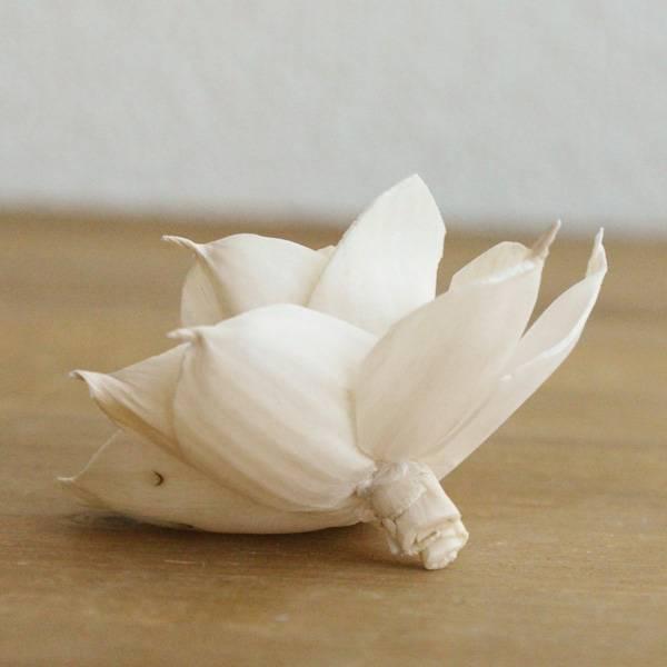 ハンドメイドフラワー 花材 即日出荷 RMソラガーデニア6cm ドライ
