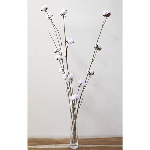 ドライフラワー 即日出荷 Foyer Kdデコスティック コットン ホワイト Sfy 8z 造花ドライフラワー専門問屋花びし 通販 Yahoo ショッピング