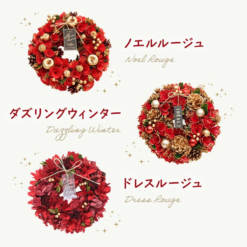 クリスマス リース 即日出荷 ドライ木の実のクリスマスリースM