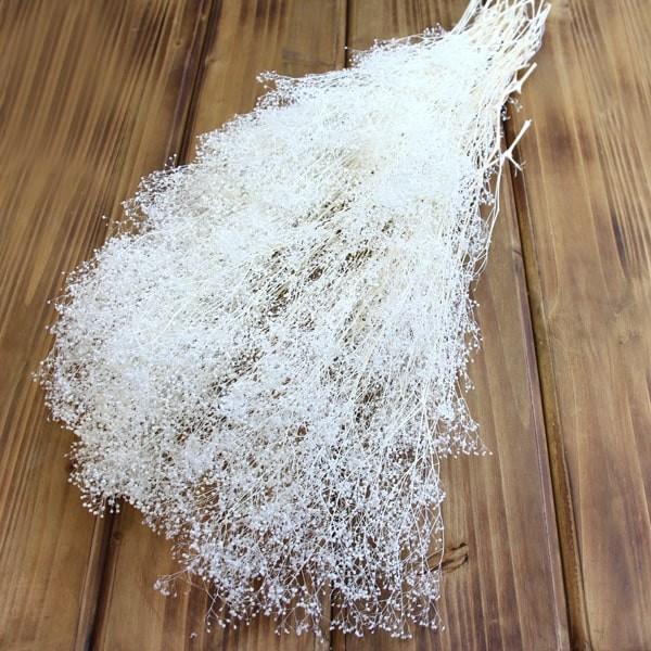 プリザーブドフラワー 花材 即日出荷 ソフトミニカスミ草 大束 白 ドライフラワー かすみ カスミ カスミ草 かすみ草 プリザーブドフラワー 花束 大地農園（Yahoo!・造花ドライフラワー専門問屋花びし）