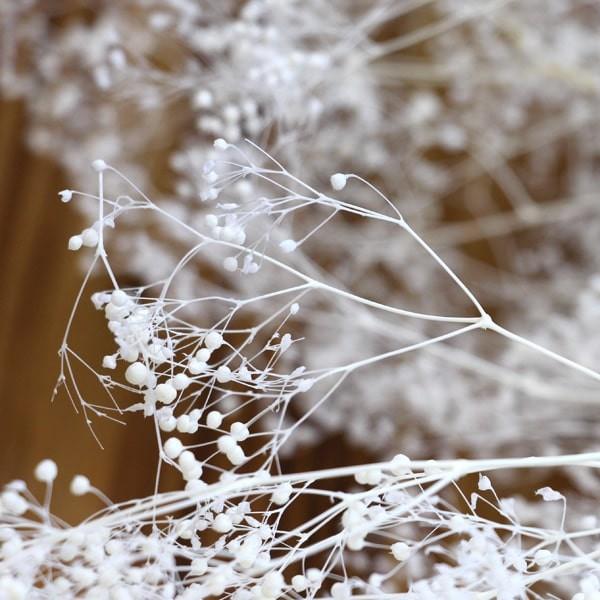プリザーブドフラワー 花材 即日出荷 ソフトミニカスミ草 大束 白