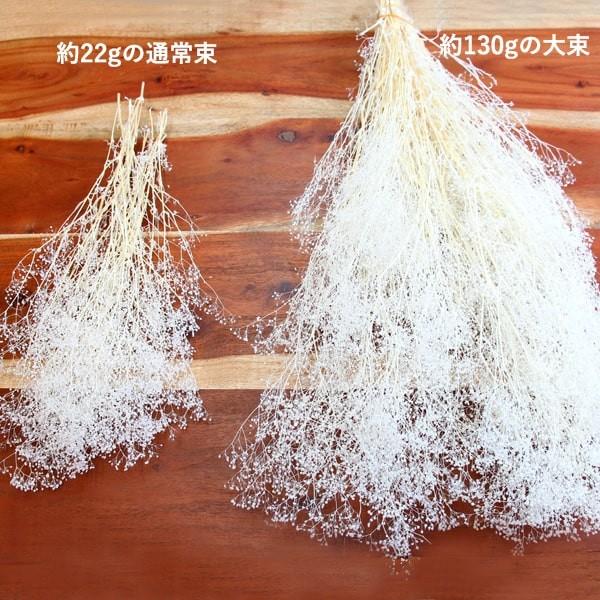 プリザーブドフラワー 花材 即日出荷 ソフトミニカスミ草 大束 白