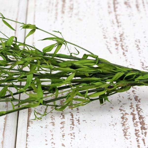 プリザーブドフラワー 花材 即日出荷 スーパーソフトミニカスミ草