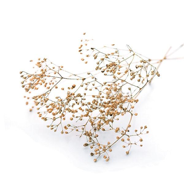 カスミソウ バラ ドライフラワー プリザーブドフラワー ゴールド フラワーベース カスミソウ バラ ドライフラワー プリザーブドフラワー ゴールド