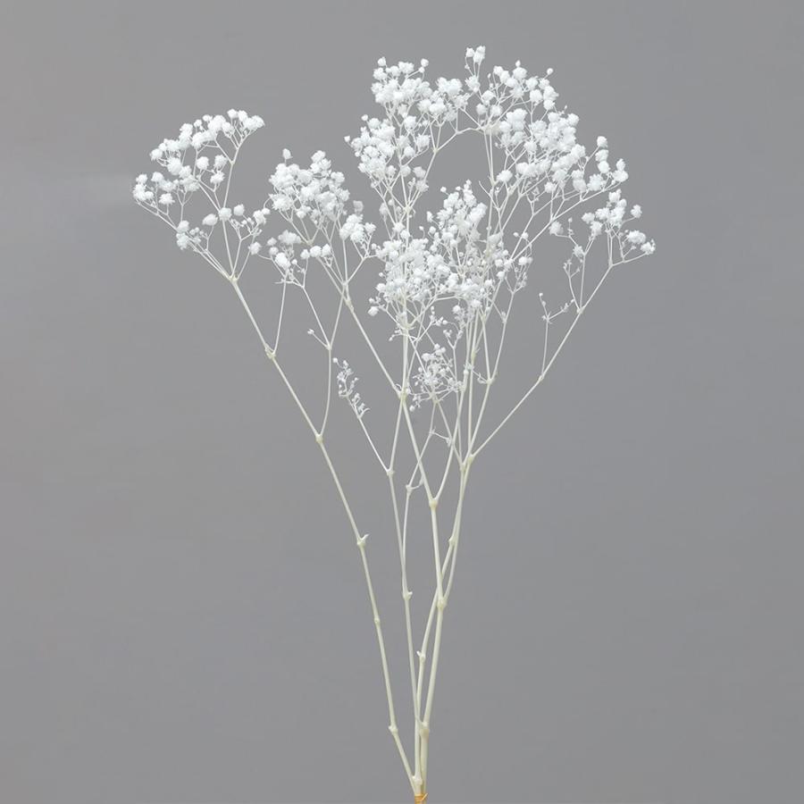 プリザーブドフラワー 花材 即日出荷 カスミ草・オーバータイム 白
