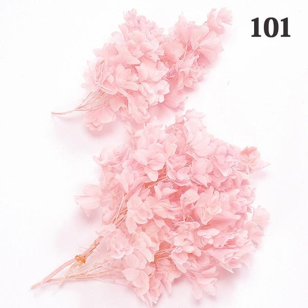 新色 プリザーブドフラワー 花材 即日出荷 大地農園 カシワバアジサイ ピンク あじさい 紫陽花 プリザ 花材 材料 素材 アジサイ 花束 Originaljustturkey Com