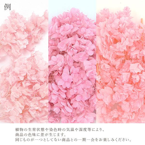 とっておきし福袋 プリザーブドフラワー 花材 即日出荷 大地農園 カシワバアジサイ ピンク あじさい 紫陽花 プリザ 花材 材料 素材 アジサイ 花束 Babylonrooftop Com Au