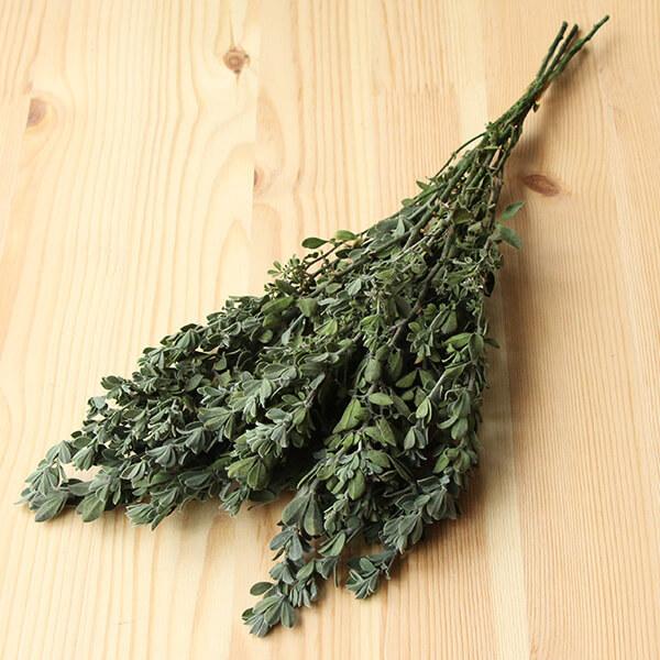 プリザーブドフラワー 即日出荷 大地農園 ロータスブリムストーン Soh 700 造花ドライフラワー専門問屋花びし 通販 Yahoo ショッピング