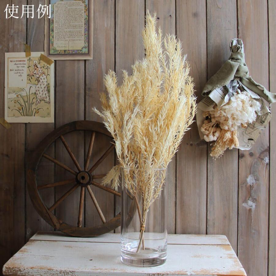 プリザーブドフラワー 花材 即日出荷 ティーツリー(メラレウカ