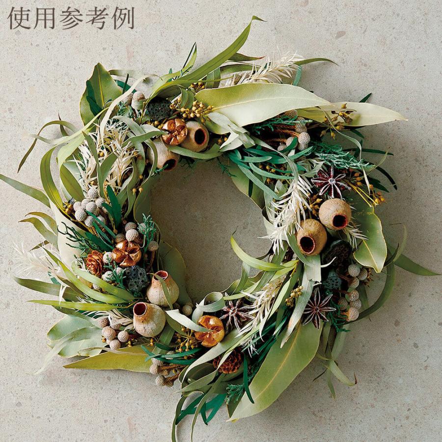 プリザーブドフラワー 花材 即日出荷 ティーツリー(メラレウカ