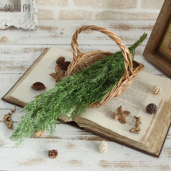 プリザーブドフラワー 花材 即日出荷 ティーツリー(メラレウカ