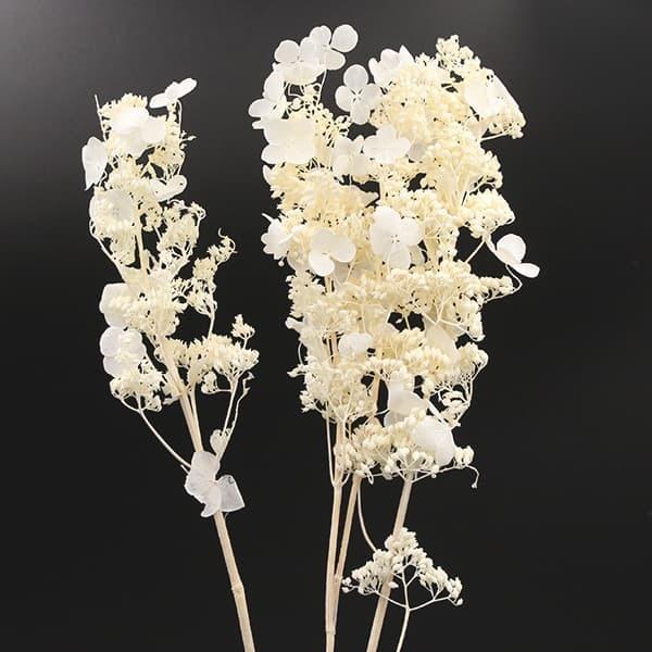 プリザーブドフラワー 花材 即日出荷 ノリウツギ オフホワイト プリザーブドフラワー 花材 即日出荷 ノリウツギ オフホワイト