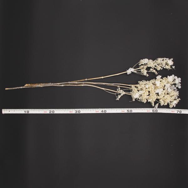 プリザーブドフラワー 花材 即日出荷 ノリウツギ オフホワイト