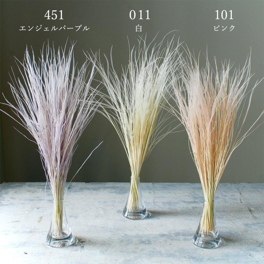 ドライフラワー 花材 即日出荷 フェザーグラス 素材 材料 パーツ
