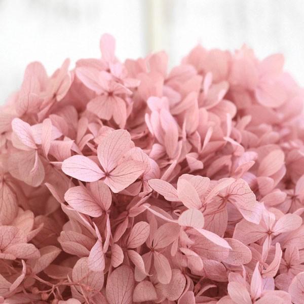 プリザーブドフラワー 花材 即日出荷 ピラミッドアジサイ・ヘッド