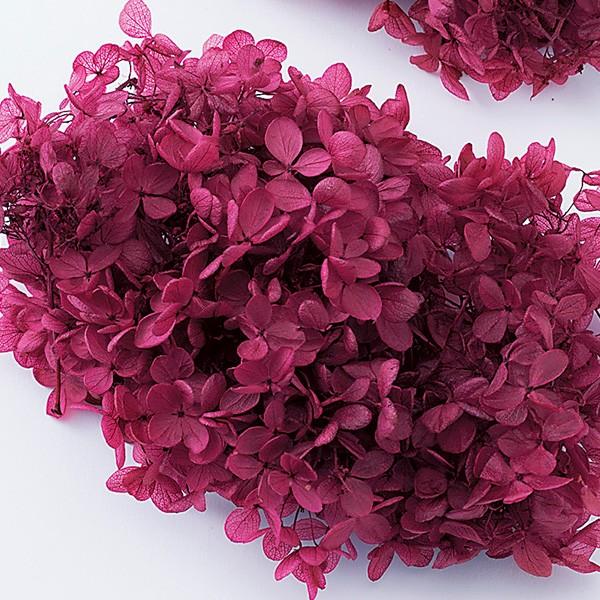 花＊花 ページ 0_5aa3134e0d4c0a7e15edd5e75799