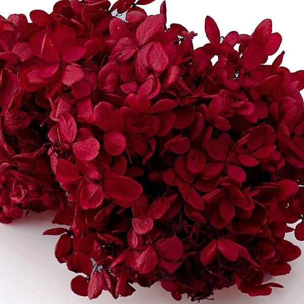 プリザーブドフラワー 花材 即日出荷 ピラミッドアジサイ プリザーブドフラワー 花材 即日出荷 ピラミッドアジサイ