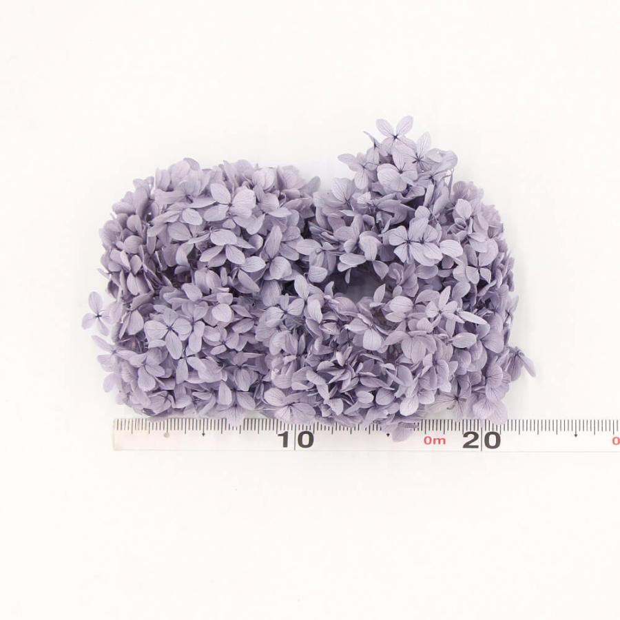 プリザーブドフラワー 花材 即日出荷 ピラミッドアジサイ プリザーブドフラワー 花材 即日出荷 ピラミッドアジサイ