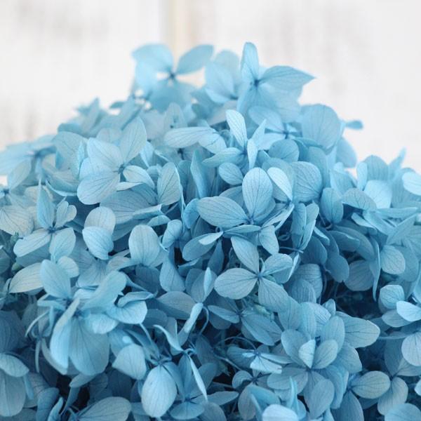 プリザーブドフラワー　アジサイ　大量　セット 楽天市場】【P10倍 12/31まで！】 プリザーブドフラワー 花材 即日出荷