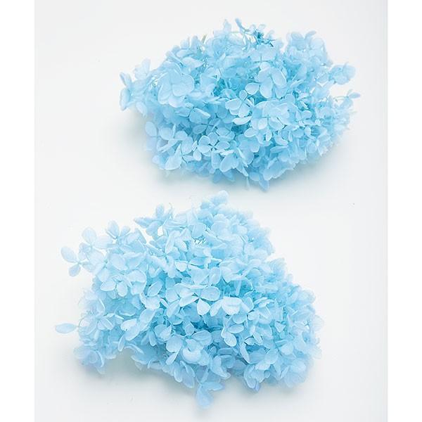 プリザーブドフラワー 花材 即日出荷 ピラミッドアジサイ・ヘッド ベビーブルー アジサイ あじさい 紫陽花 花びら プリザーブドフラワー ブーケ 大地農園（Yahoo!・造花ドライフラワー専門問屋花びし）