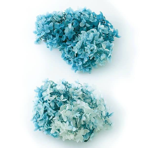 プリザーブドフラワー 即日出荷 大地農園 ソフトピラミッドアジサイ スフレ あじさい 紫陽花 プリザ