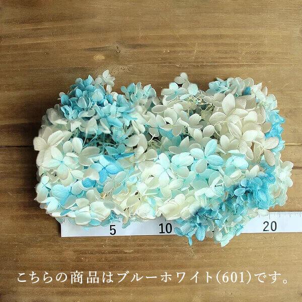 ランキング22 プリザーブドフラワー 花材 即日出荷 大地農園 ソフトピラミッドアジサイ スフレ グリーンホワイト あじさい 紫陽花 プリザ 花材 材料 素材 Cisama Sc Gov Br