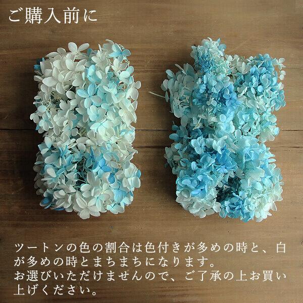 ランキング22 プリザーブドフラワー 花材 即日出荷 大地農園 ソフトピラミッドアジサイ スフレ グリーンホワイト あじさい 紫陽花 プリザ 花材 材料 素材 Cisama Sc Gov Br