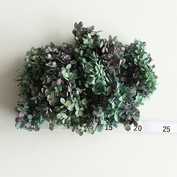 プリザーブドフラワー 花材 即日出荷 ピラミッドアジサイ・ヘッド