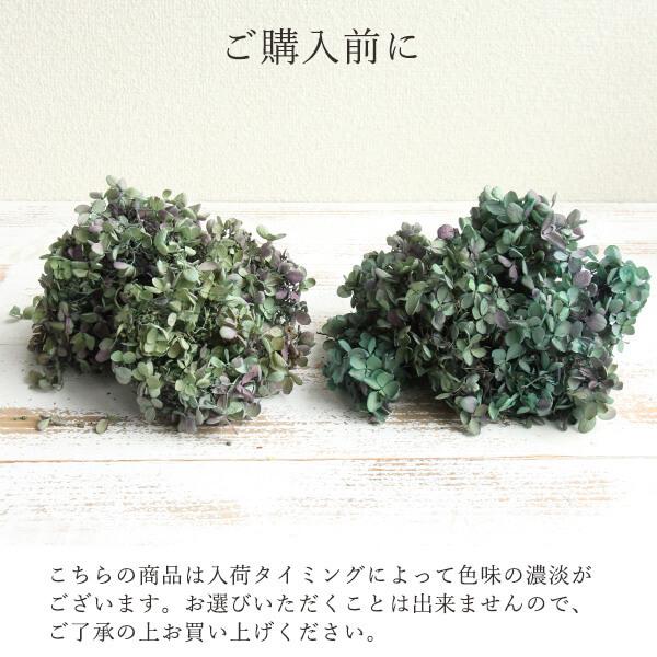 プリザーブドフラワー 花材 即日出荷 ピラミッドアジサイ・ヘッド