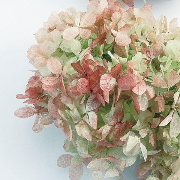 プリザーブドフラワー 花材 即日出荷 ピラミッドアジサイ プリザーブドフラワー 花材 即日出荷 ピラミッドアジサイ