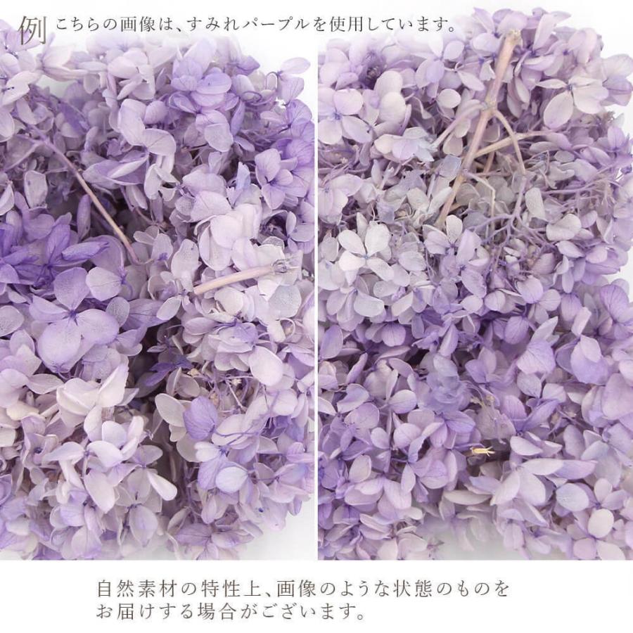 プリザーブドフラワー 花材 即日出荷 ピラミッドアジサイ プリザーブドフラワー 花材 即日出荷 ピラミッドアジサイ