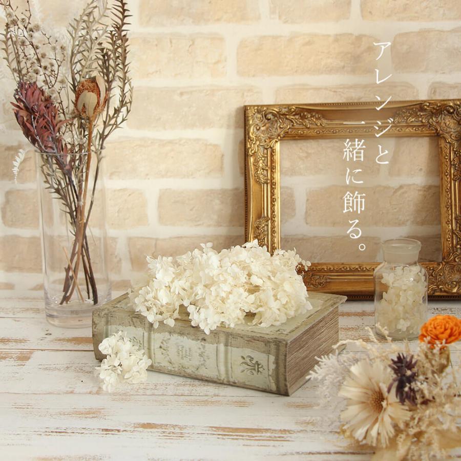 プリザーブドフラワー 花材 即日出荷 アナベル・ヘッド オフ プリザーブドフラワー 花材 即日出荷 アナベル・ヘッド オフ