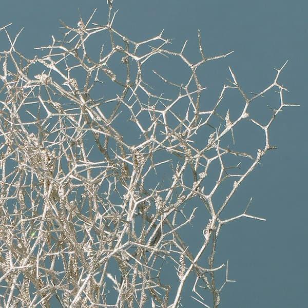 P5倍中 爆買】 プリザーブドフラワー 花材 即日出荷 ヴェスペネスト