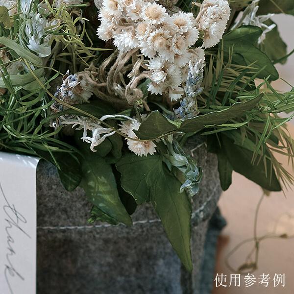 プリザーブドフラワー 花材 即日出荷 アイビー・シャムロック