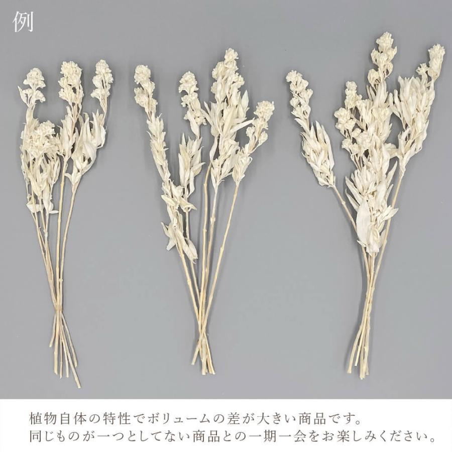 ポイント5倍中 11/19 09:59迄】 プリザーブドフラワー 花材 即日出荷 