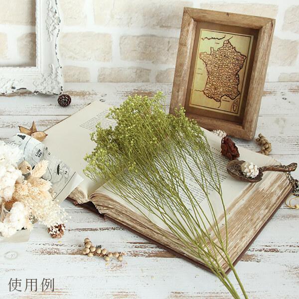 プリザーブドフラワー 花材 即日出荷 モリソニア グリーン スワッグ