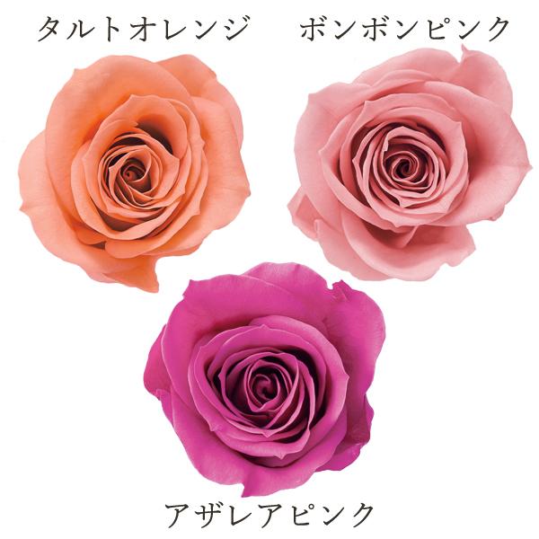 プリザーブドフラワー 花材》☆即日出荷☆大地農園 ローズ・いずみ・カラーアソート ピンク/オレンジミックス プリザーブドフラワー ローズ バラ 花 :soh-03484-230:造花ドライフラワー専門問屋花びし - 通販 - Yahoo!ショッピング プリザーブドフラワー 花材》☆即日出荷☆大地農園 ローズ・いずみ・カラーアソート ピンク/オレンジミックス プリザーブドフラワー ローズ バラ 花 :soh-03484-230:造花ドライフラワー専門問屋花びし - 通販 - Yahoo!ショッピング