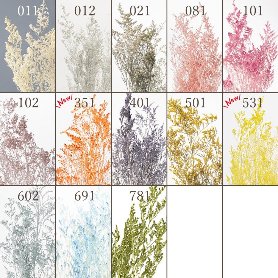 プリザーブドフラワー 花材 即日出荷 【40％OFF】期間限定特価 カスピア ※オフホワイトがクリーム色の場合があります 花材 素材 材料 パーツ DIY 大地農園（Yahoo!・造花ドライフラワー専門問屋花びし）