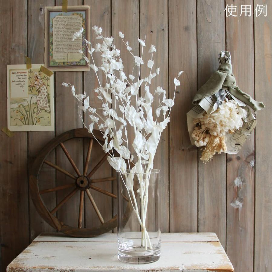 プリザーブドフラワー 花材 即日出荷 ブプレリューム オフホワイト