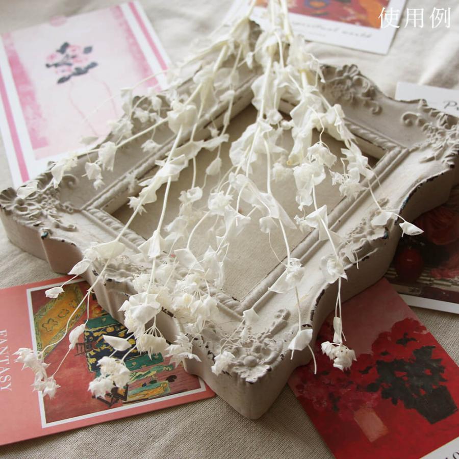 プリザーブドフラワー 花材 即日出荷 ブプレリューム オフホワイト