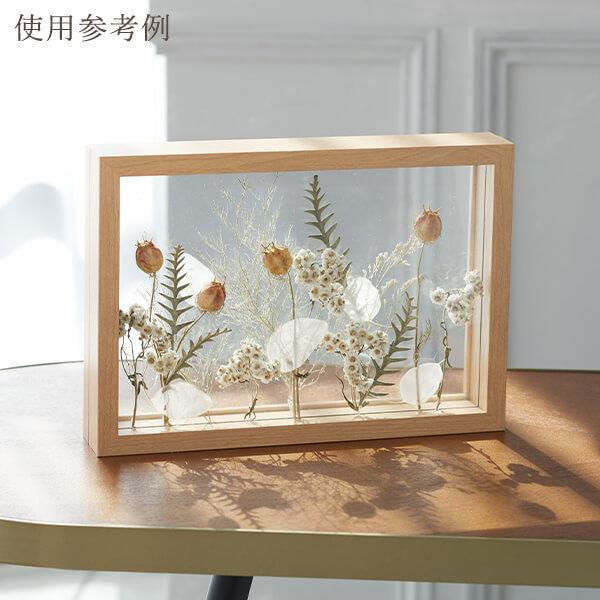 ドライフラワー 花材 即日出荷 フーセンポピー ナチュラルグリーン