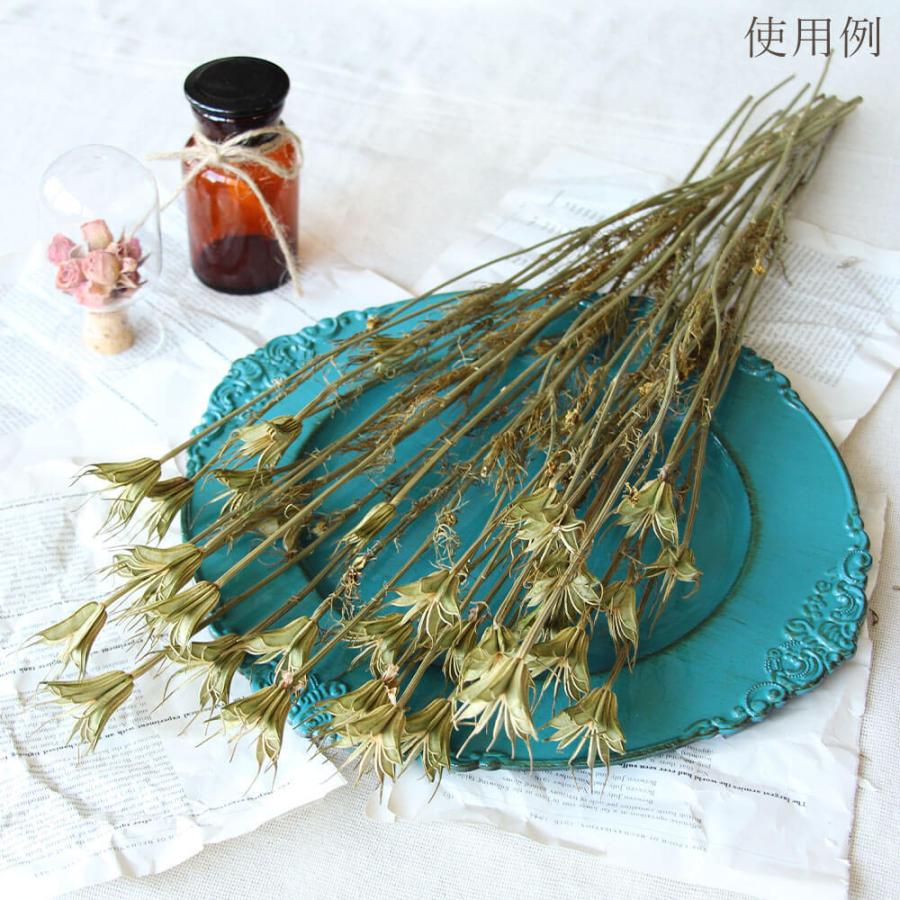 ドライフラワー 花材 即日出荷 ニゲラオリエンタリス ナチュラルG
